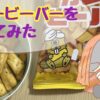 【実食レポ】カレービーバー（揚げあられ）を食べてみた【北陸産もち米100％使用】