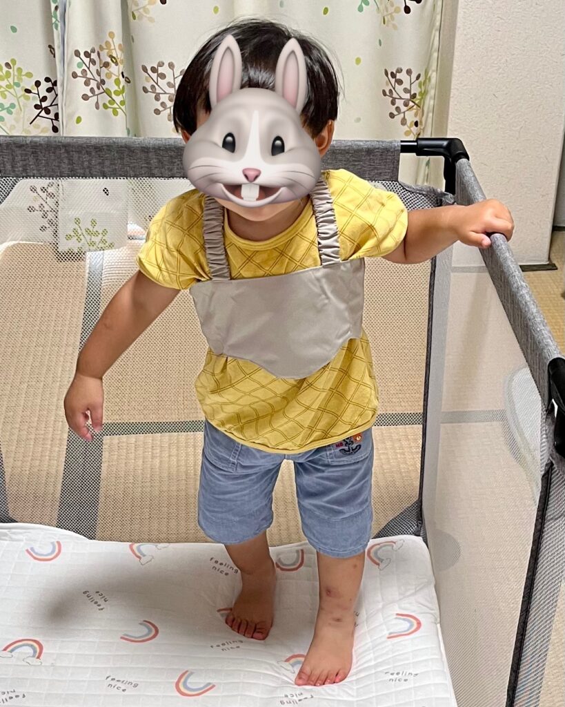 ハグムーの保冷ベストを着た息子