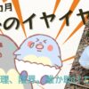 【2歳2カ月】息子のイヤイヤ期がピークへ「もう無理しんどい」限界ワンオペ育児【体験談】
