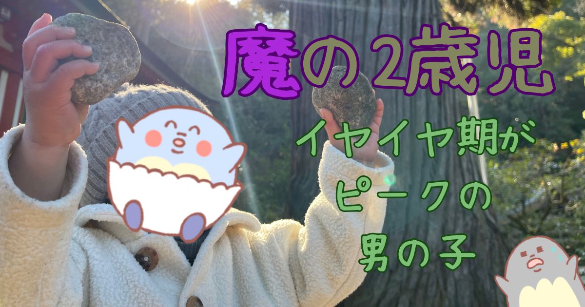 【魔の2歳児が、大変すぎる】ワーママのワンオペ育児【イヤイヤ期がピークの男の子】